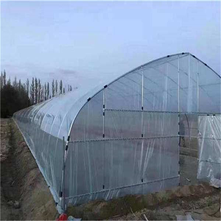 水果日光温室建造-种植日光温室大棚-薄膜蔬菜大棚方案