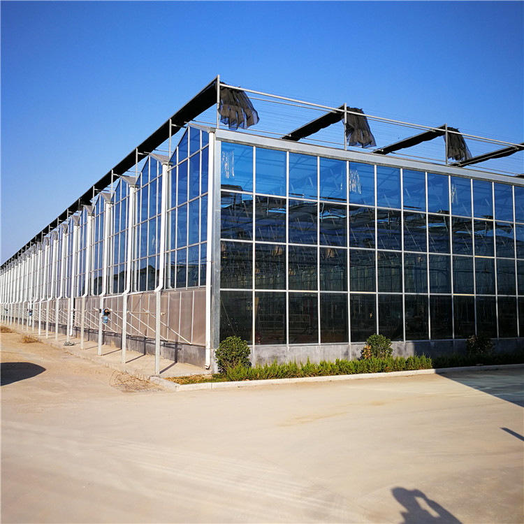 阳光板温室 生产温室大棚骨架