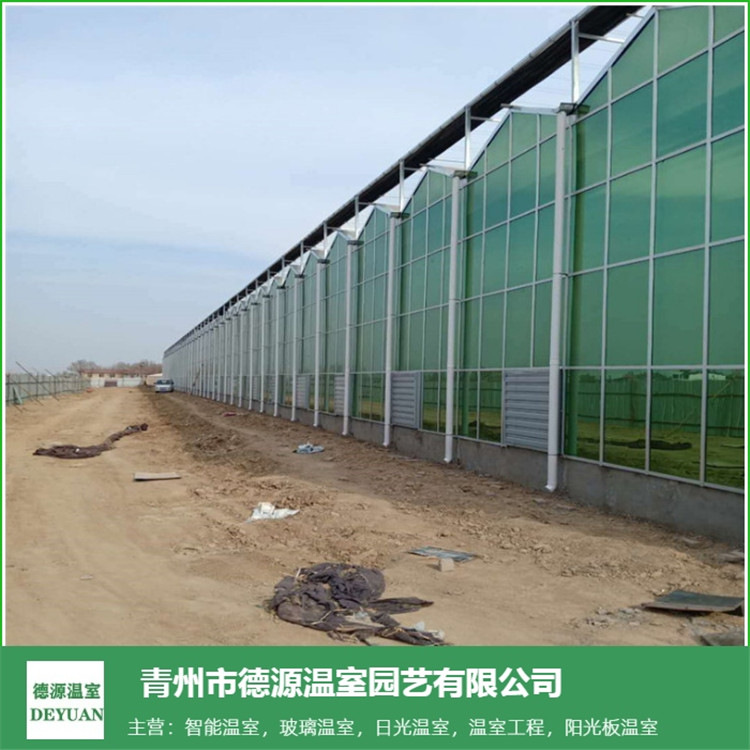 简易玻璃连栋温室-玻璃连栋温室合作报价-青州德源