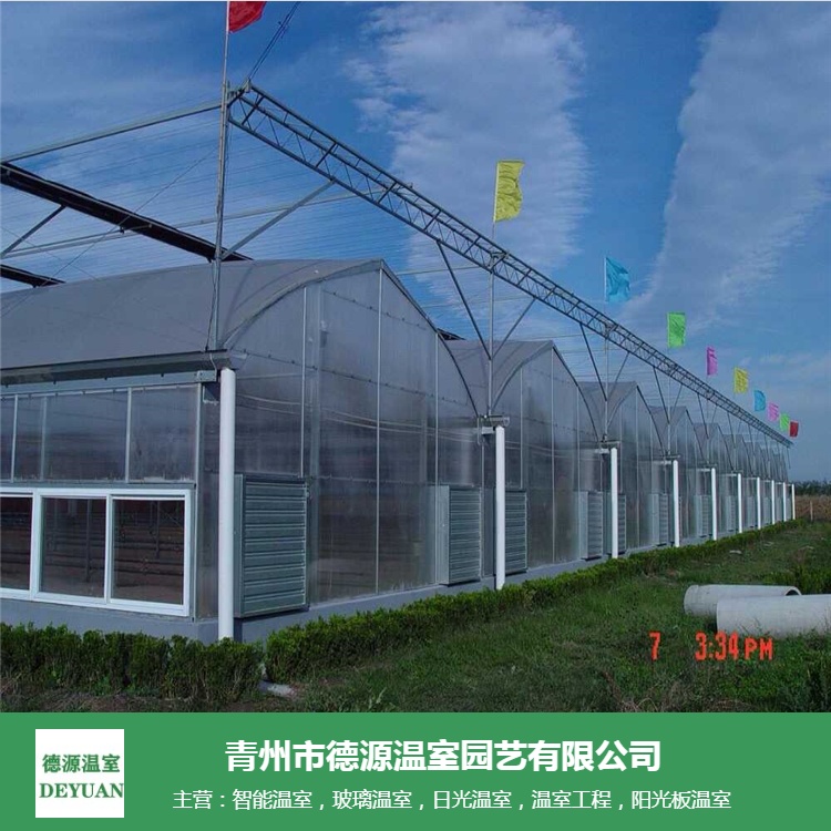 小型阳光板温室安装-青州德源-水果阳光板温室工程