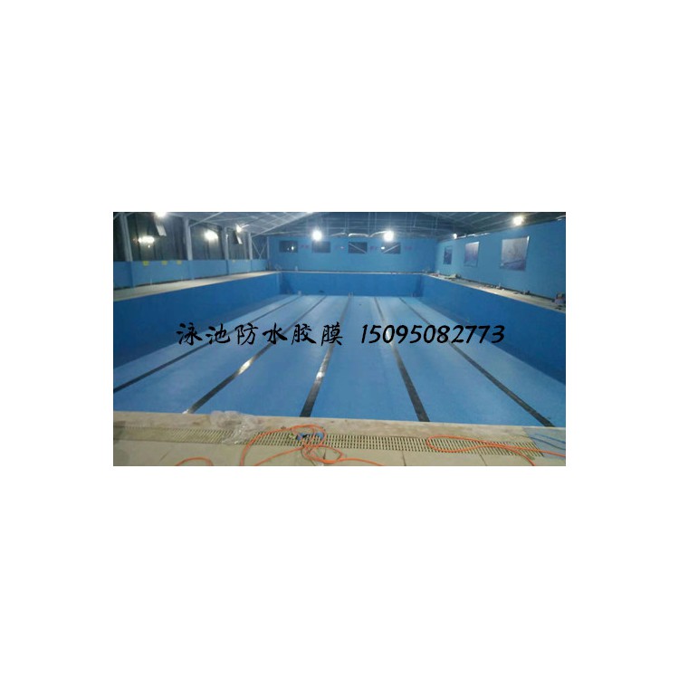 土建钢结构游泳池专用防水胶膜 安装简单PVC防水胶膜