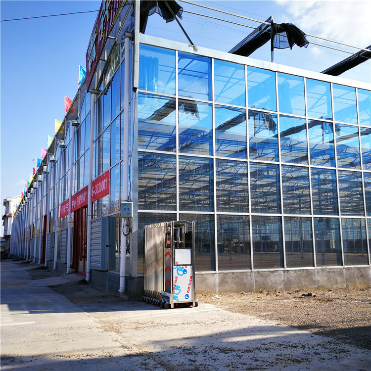 玻璃温室专业定制 玻璃温室生产厂家 鸿川温室