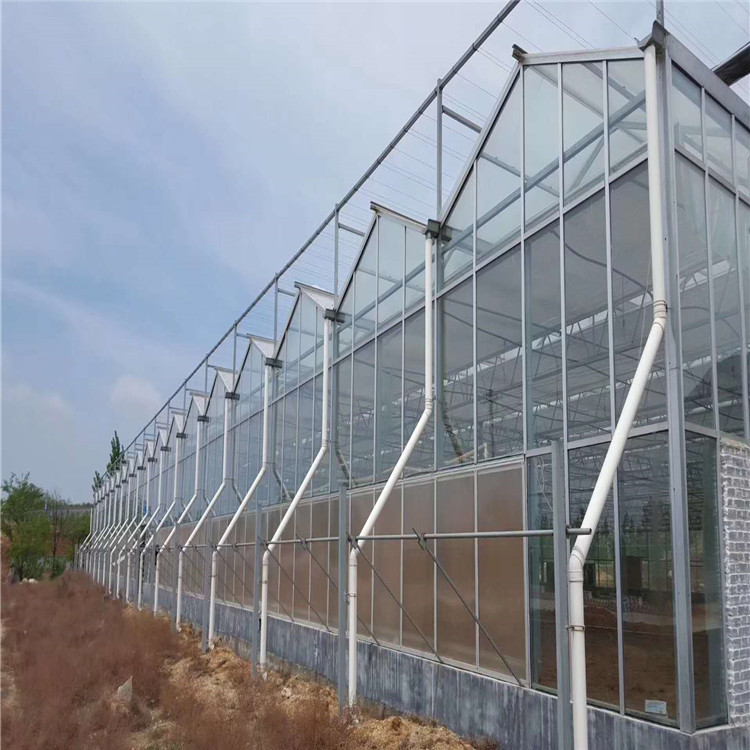 玻璃温室专业定制设计 玻璃温室生产厂家