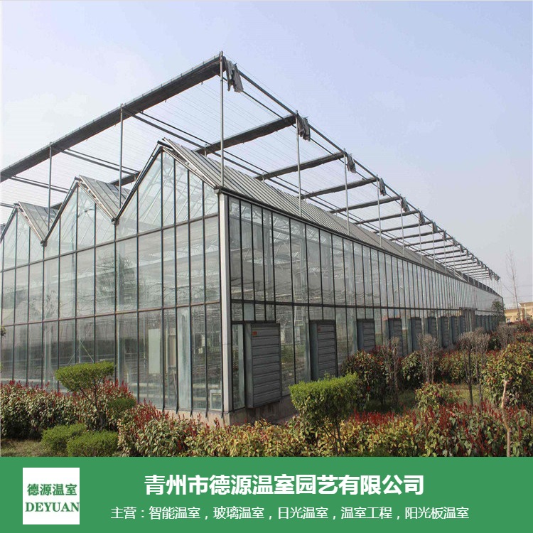 小型阳光板大棚设计-文洛式pc板温室施工-青州德源