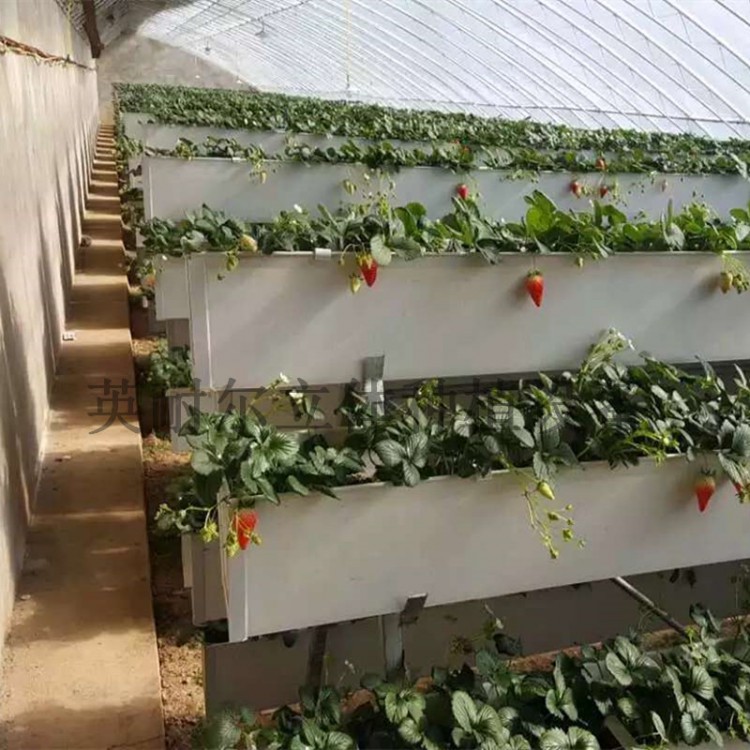 A字架草莓立体栽培槽 蔬菜水培种植槽