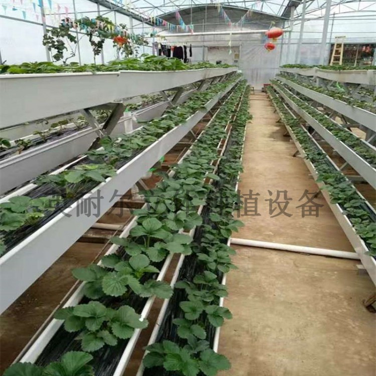 大棚草莓种植槽 立体栽培槽 水培种植槽