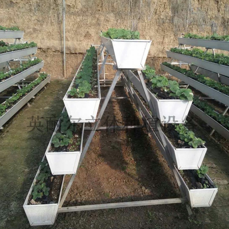 PVC草莓立体种植槽 叶菜水培槽 英耐尔