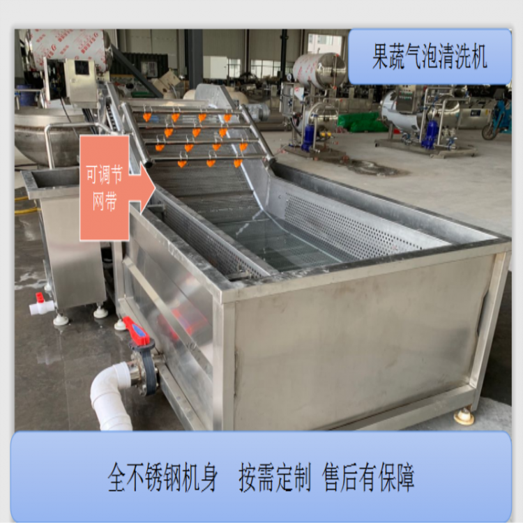 果蔬气泡清洗机 喷淋式果蔬清洗线