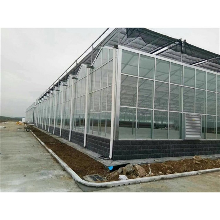 阳光板温室厂家 阳光板大棚建设 花卉大棚