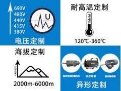 山东电机厂家|盛华电机推出高原电机定制服务