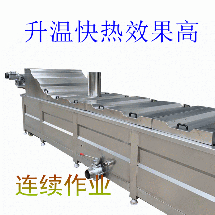 菠菜漂烫护色机 玉米预煮漂烫机