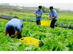 广东成氏餐饮拍了拍你|所谓的“伏天儿”，小知识