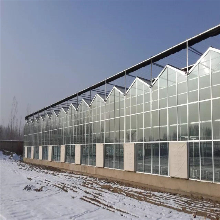 承建玻璃温室大棚 连栋生态玻璃温室 蔬菜温室
