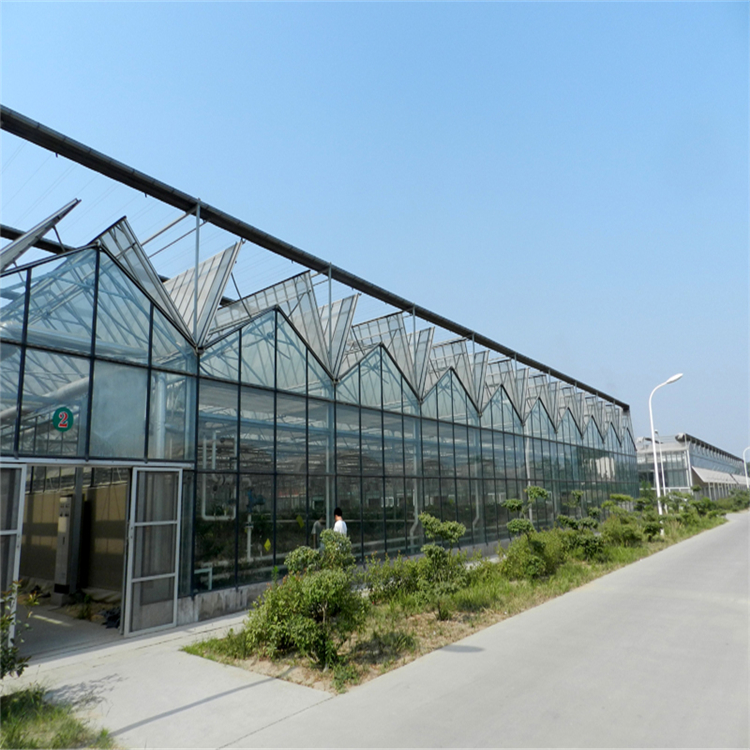现代化玻璃温室大棚 玻璃大棚造价 育苗温室