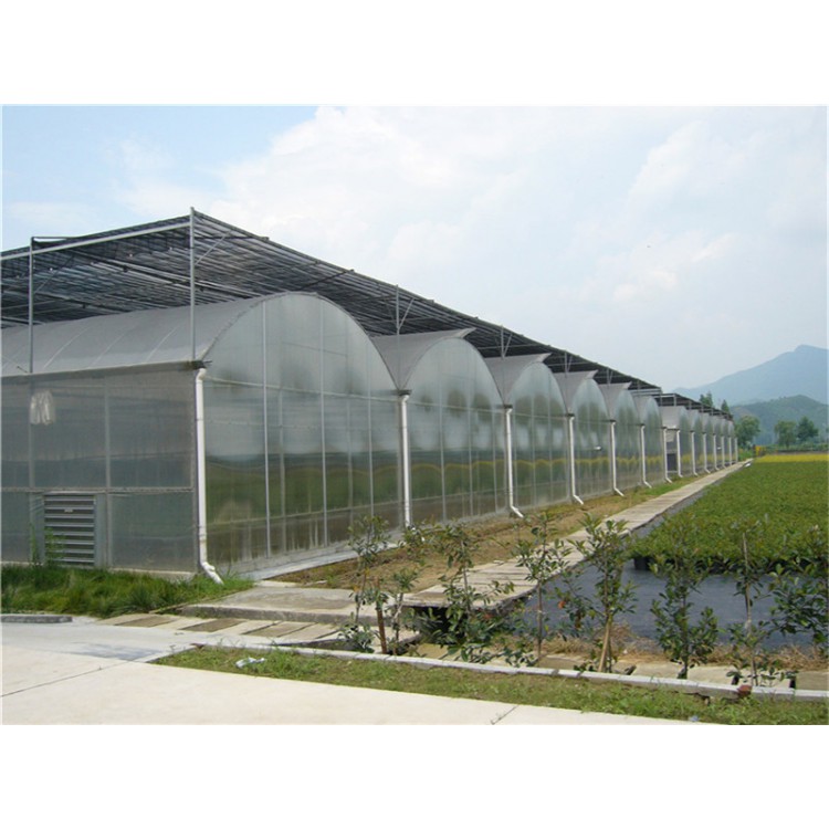 连栋薄膜温室 蔬菜薄膜大棚建设 连体温室 育苗大棚