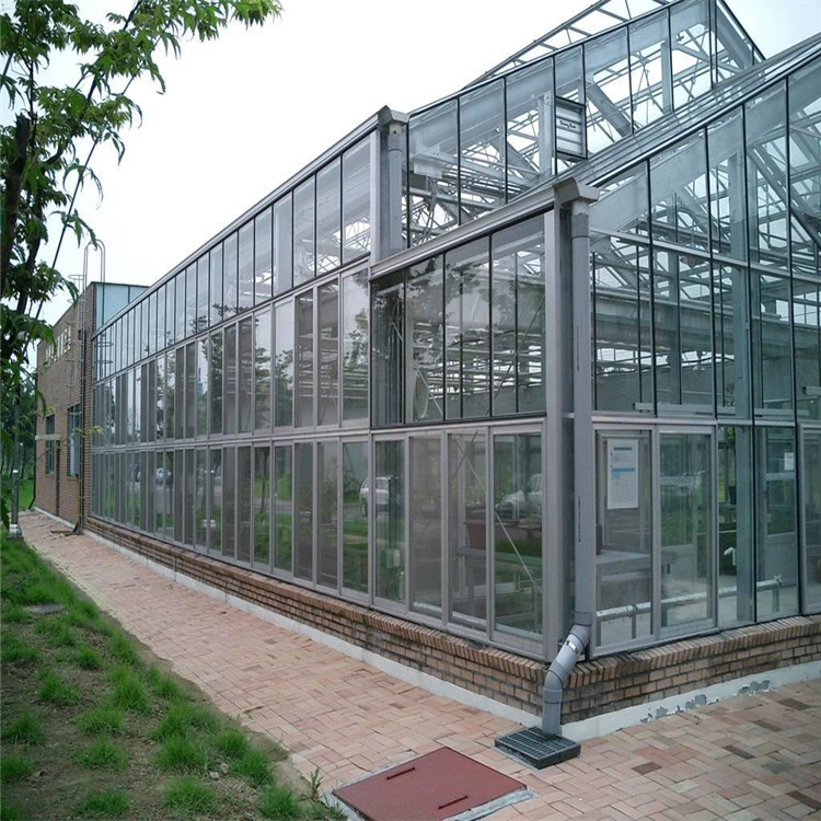 智能玻璃温室 玻璃温室大棚建设 育苗温室