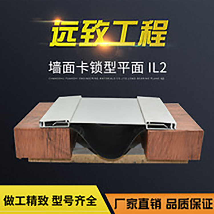 缝建筑变形缝墙面变形缝卡锁型变形缝