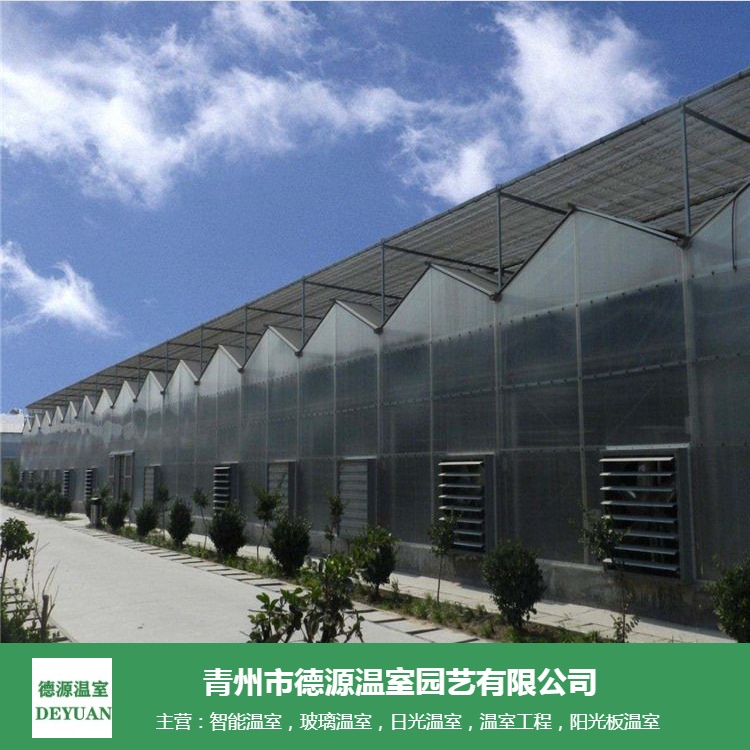 阳光板温室大棚生产商-青州德源-欢迎咨  询