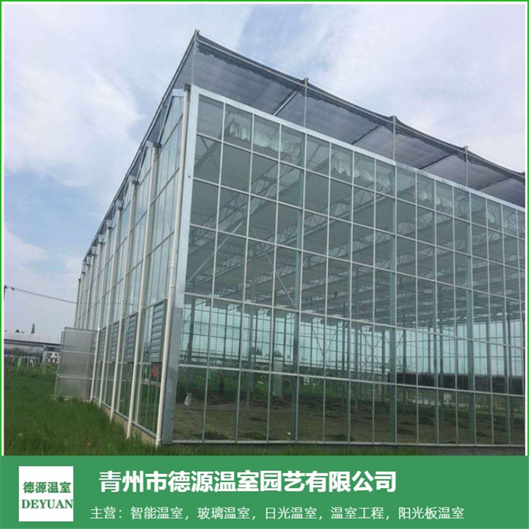 连栋玻璃温室大棚设计安装厂家--青州德源