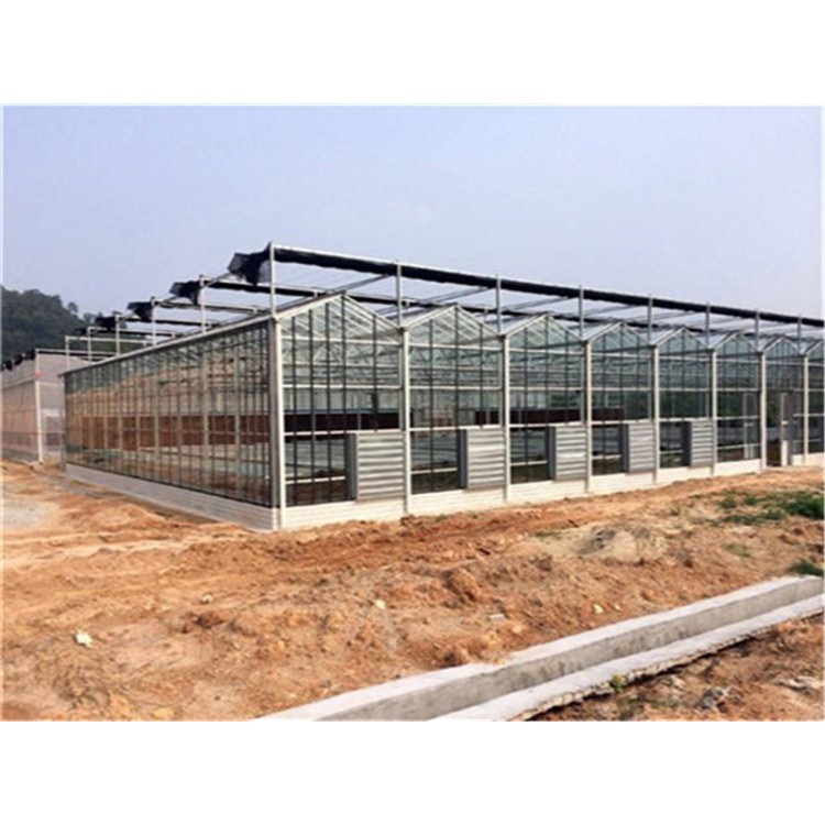 新型玻璃温室大棚 玻璃大棚建设 生态温室