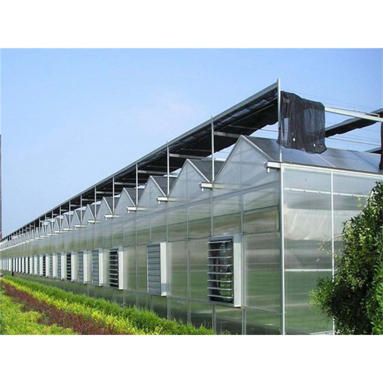 智能玻璃温室 智能种植温室大棚定制 花卉大棚