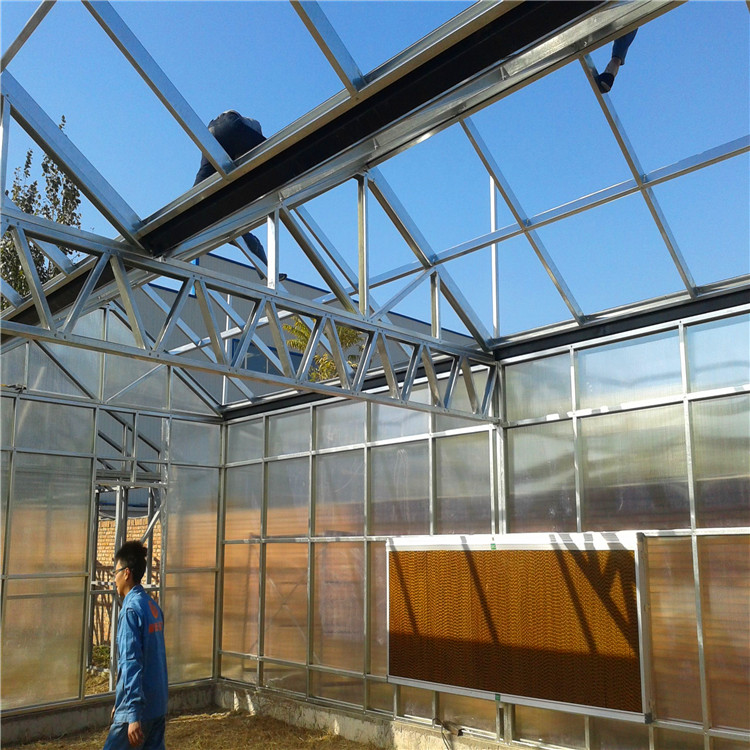 阳光板温室厂家 厂家承建温室工程