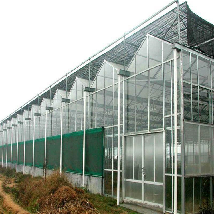 种植型玻璃温室大棚  玻璃温室建造 蔬菜大棚