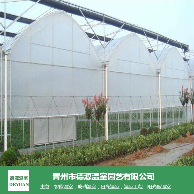 薄膜连栋温室-蔬菜温室大棚-花卉种植大棚