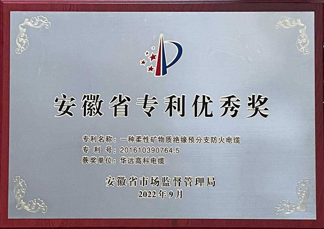安徽省专利优秀奖