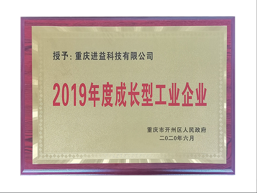 2019年度成长型企业