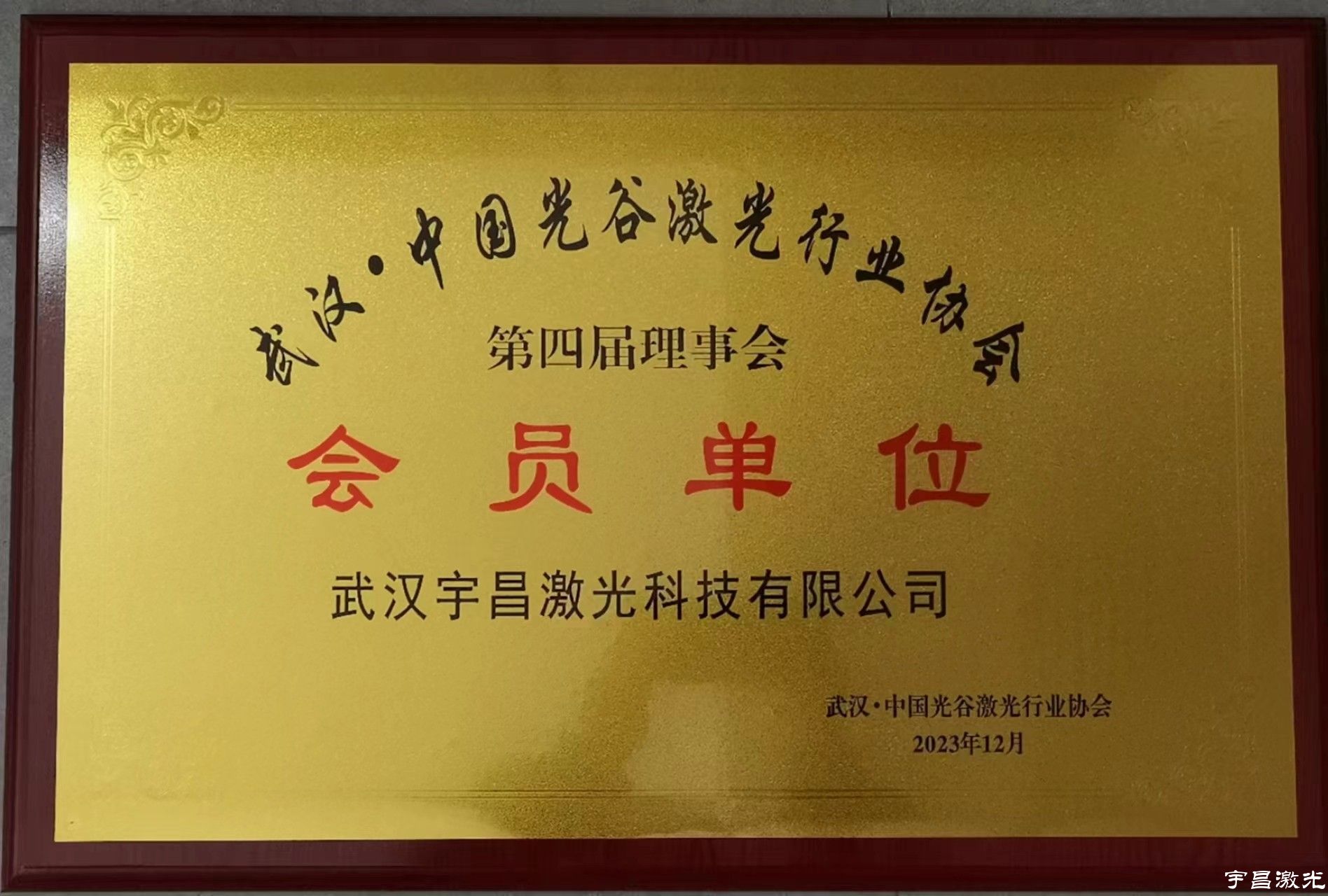 中国光谷激光行业协会会员单位