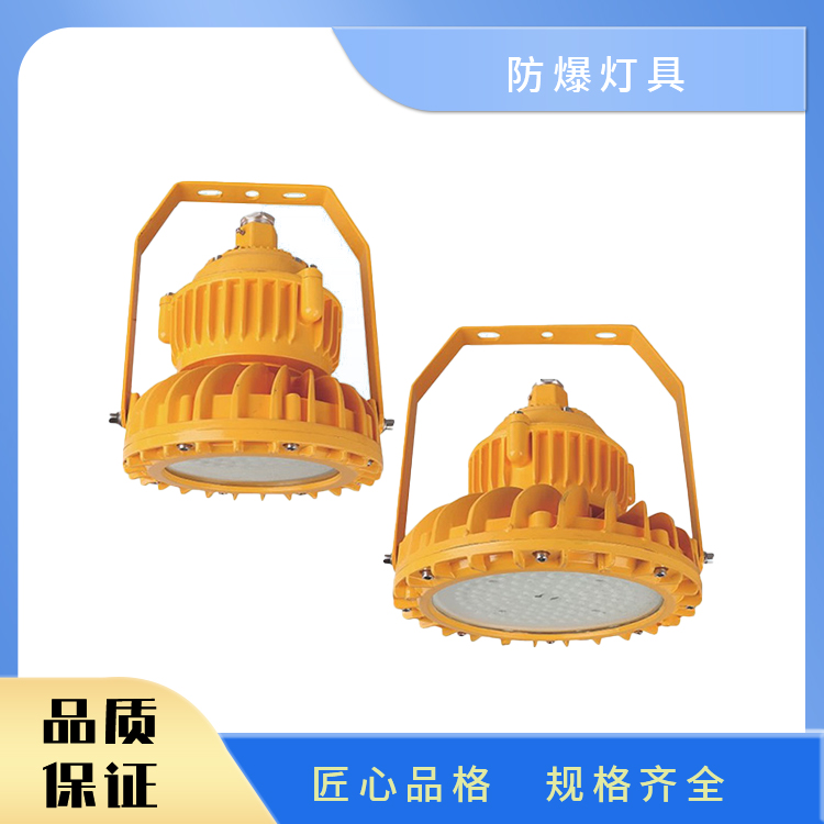 BAD 301 防爆LED灯