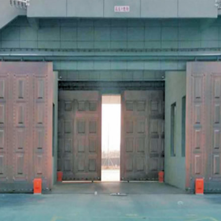 DFS-D-10 车行通道AB门