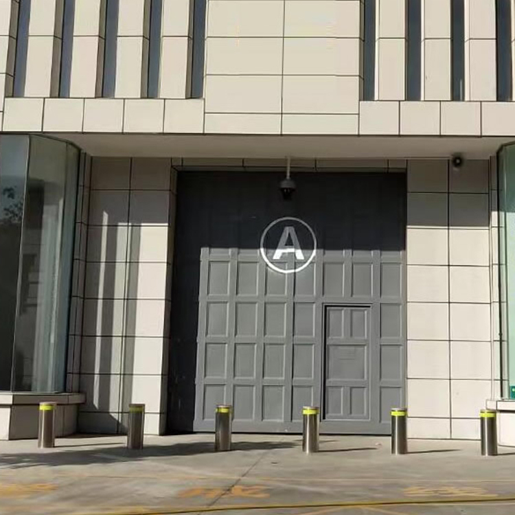 DFS-D-06 车行通道AB门