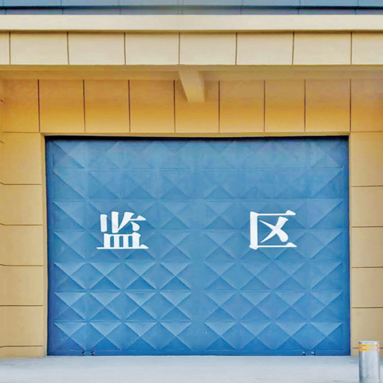 DFS-D-01 车行通道AB门