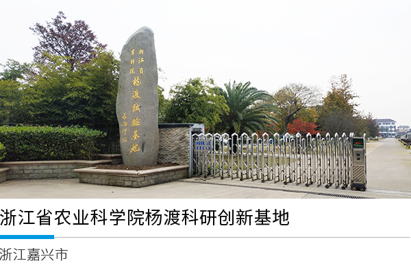 浙江省农业科学院杨渡科研创新基地