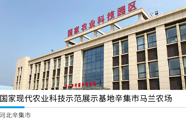 国家现代农业科技示范展示基地辛集市马兰农场