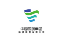 国药融资租赁全面预算管理案例