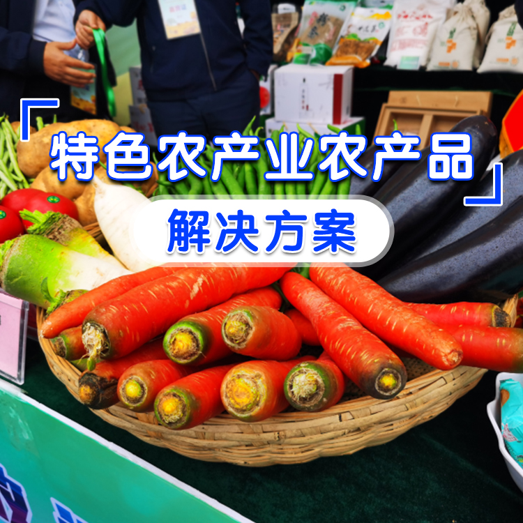 特色农产业 农产品全产业链解决方案