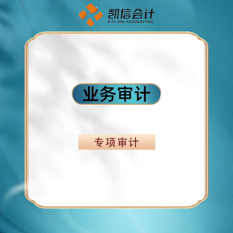专项审计