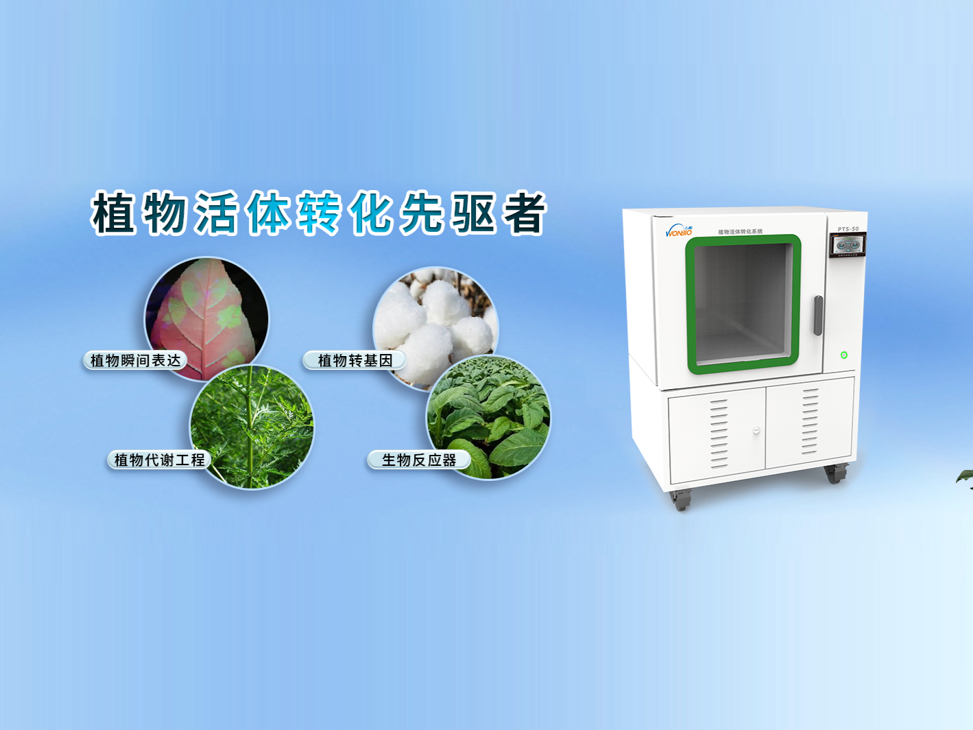 上海交通大学、崖州湾国家实验室唐克轩教授团队在番茄中建立了新型高效瞬时表达系统