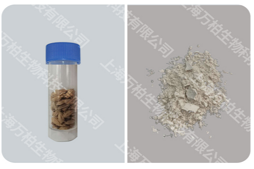 水稻种子研磨前后