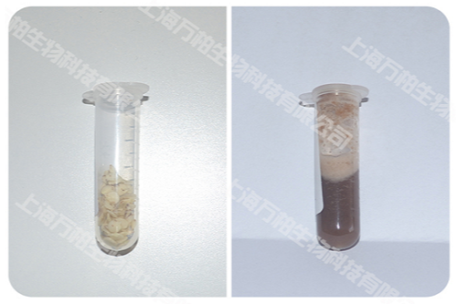 辣椒籽研磨前后