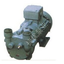 SZ系列水环式真空泵