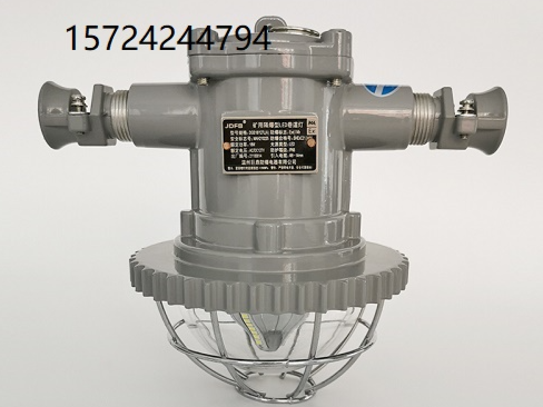 18W巷道灯DGS18/127L(A)矿用隔爆型巷道灯LE