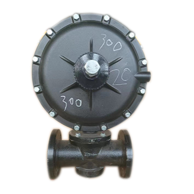 RTZ-___GK型系列调压器