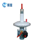 RTZ-*/1.6ASD系列调压器