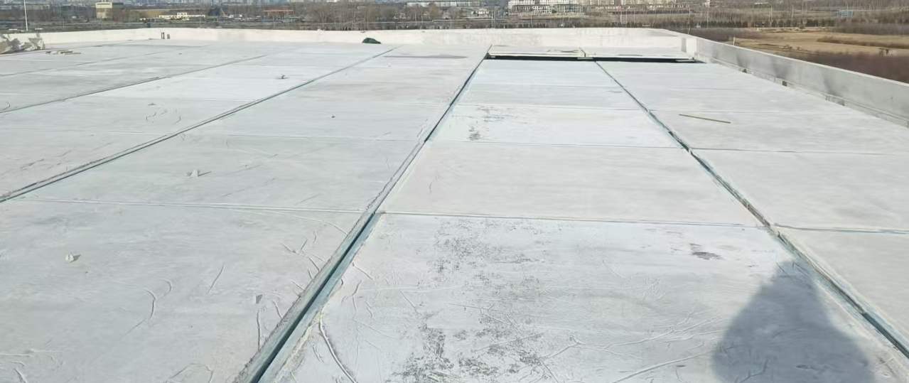 Shijiazhuang Yuelei Technology Co., Ltd.