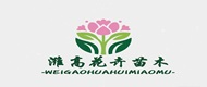 潍高花卉苗木基地
