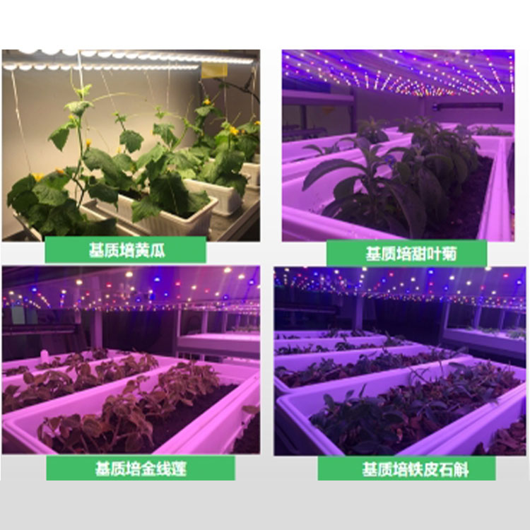 水培实验模组、雾培实验模组、基质培实验模组   